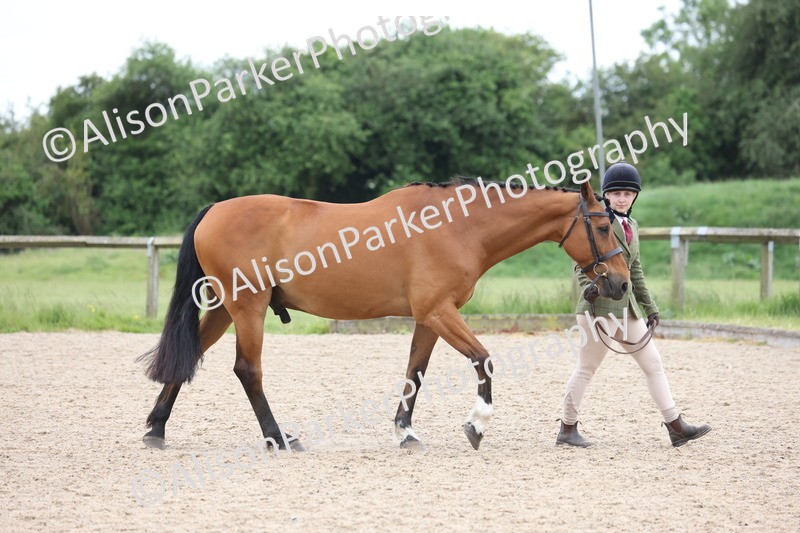 20250524-0960 - Class 9 - Cob and Hunter