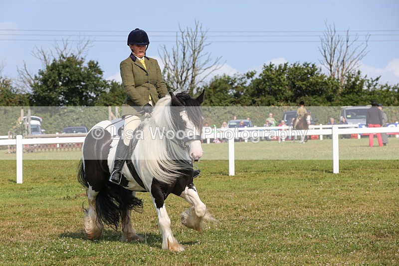 1X9A3348 - Class 28: Ridden Native/Trad Coloured Pony
