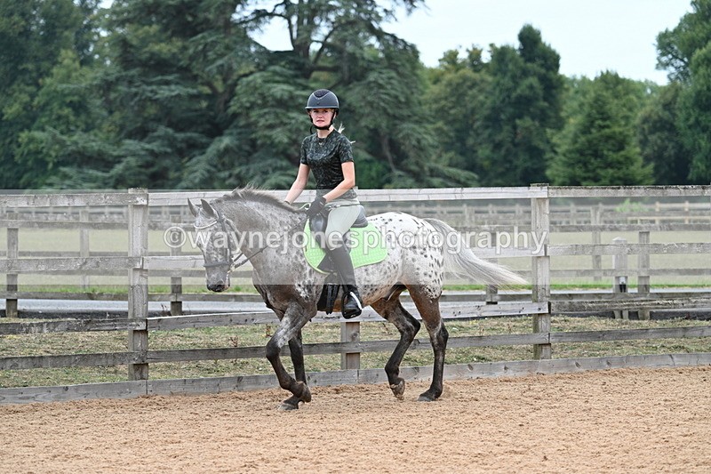 WJ7_9294 - Poles 14:00