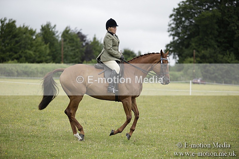 BVR160717-451 - Ring 1 BVRC Show 16/07/17