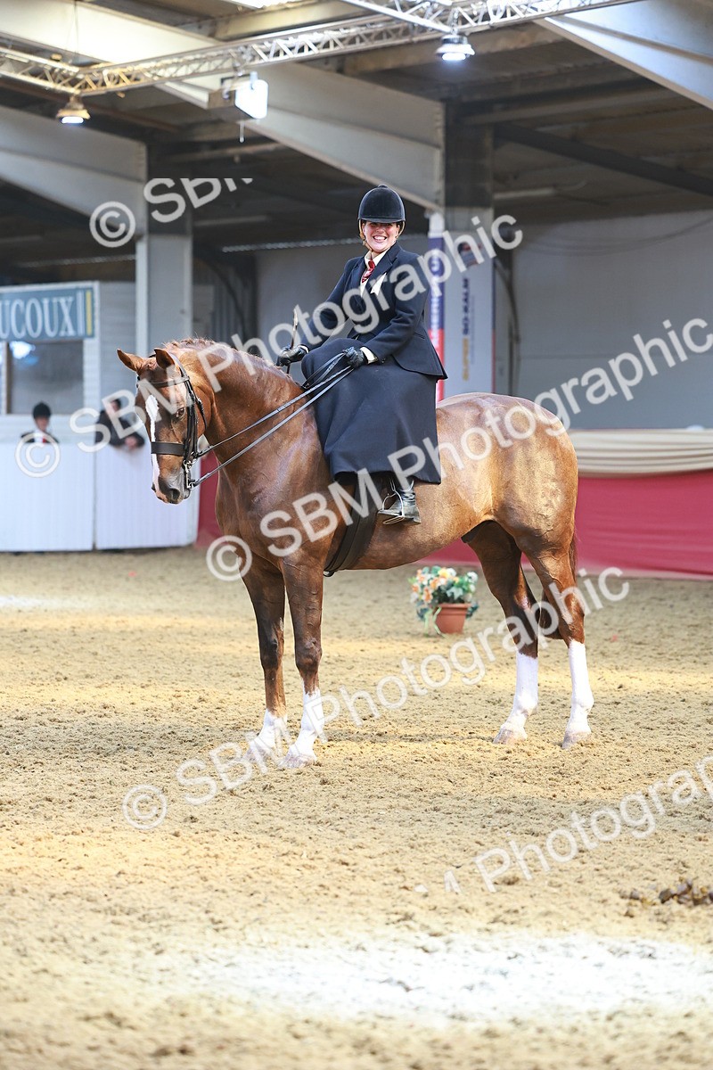 SBM_12750 - HOYS Veteran Qualifier - Ridden Champ