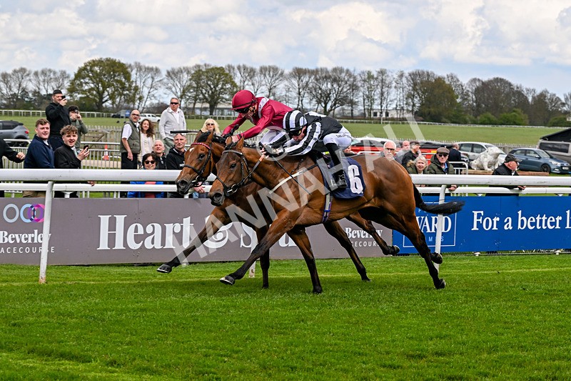 150426-Race 1-Thankfully-4662 - Race 1