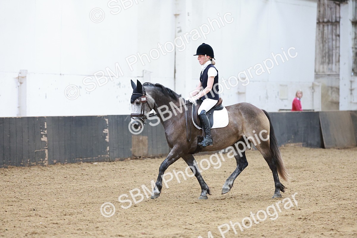 SBM_003816 - Prelim 2