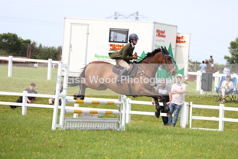 3E7A1628 - Class 13: Senior British Novice/90cm open