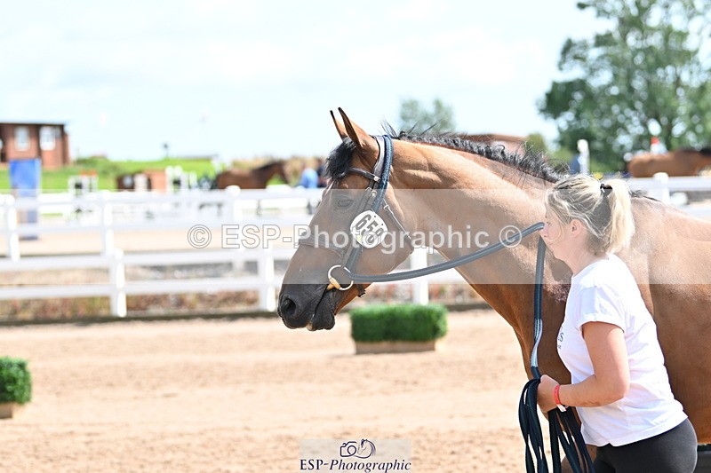 240717A-152024-02769 - Trot Up 3pm to 4pm