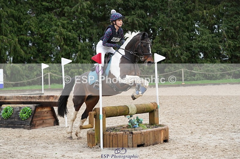 260301A-112604-01934 - NSEA 80-85cm