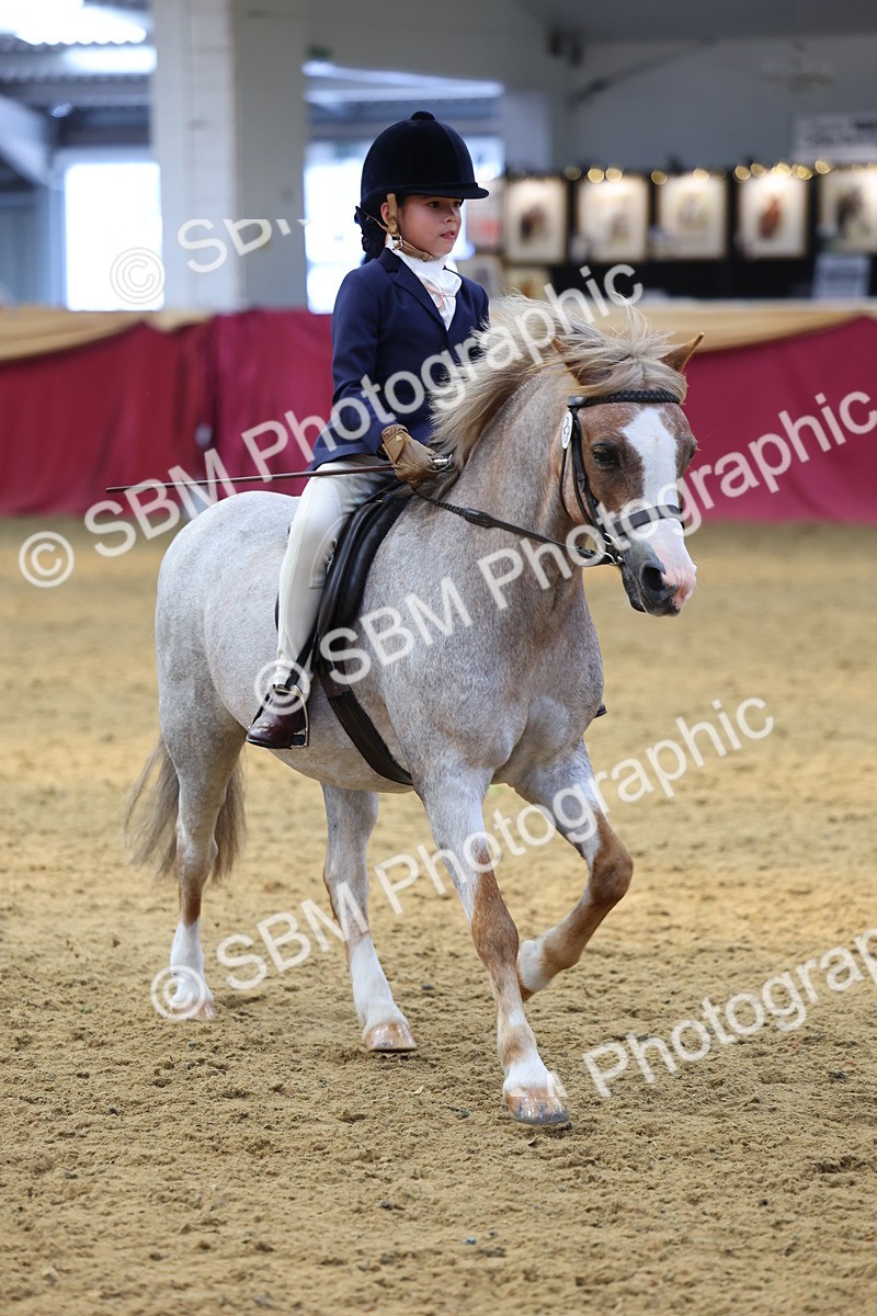 SBM_23980 - Class 905 - Supreme Final - Ridden Veteran