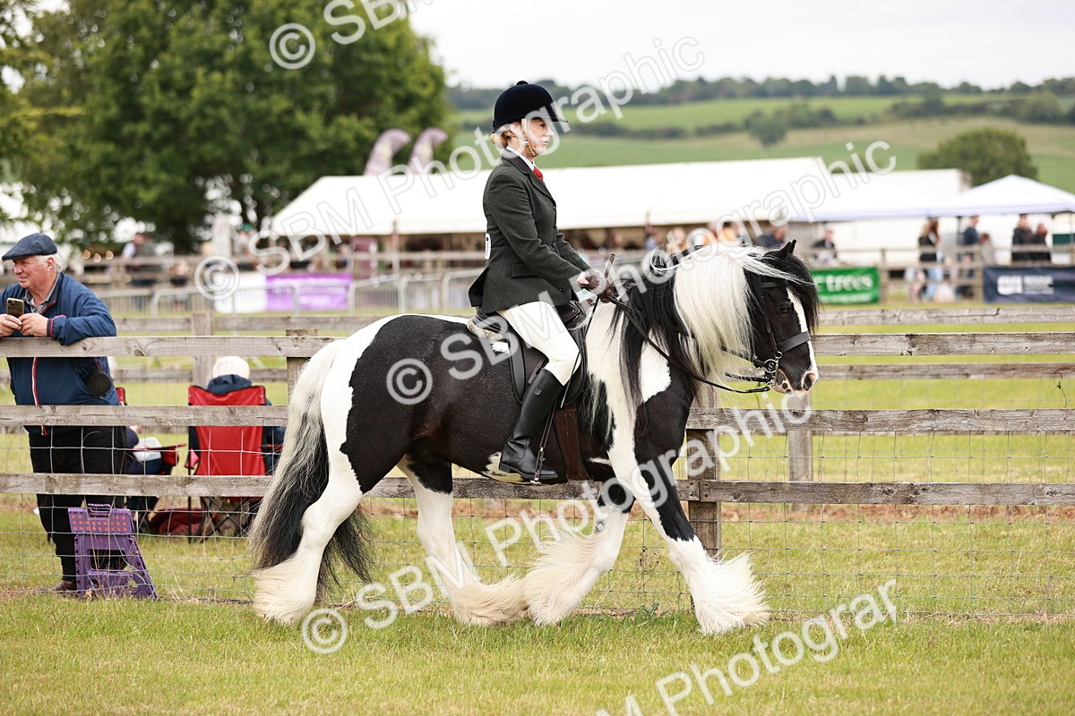 SBM_06088 - Class 39-41 TGCA In Hand and Ridden