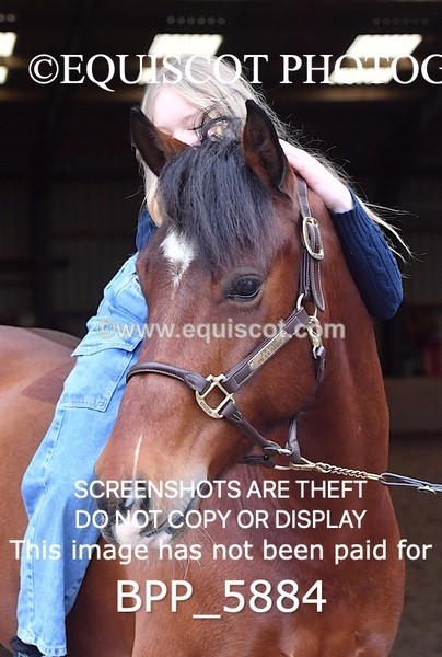 BPP_5884 - Marion West pony 3