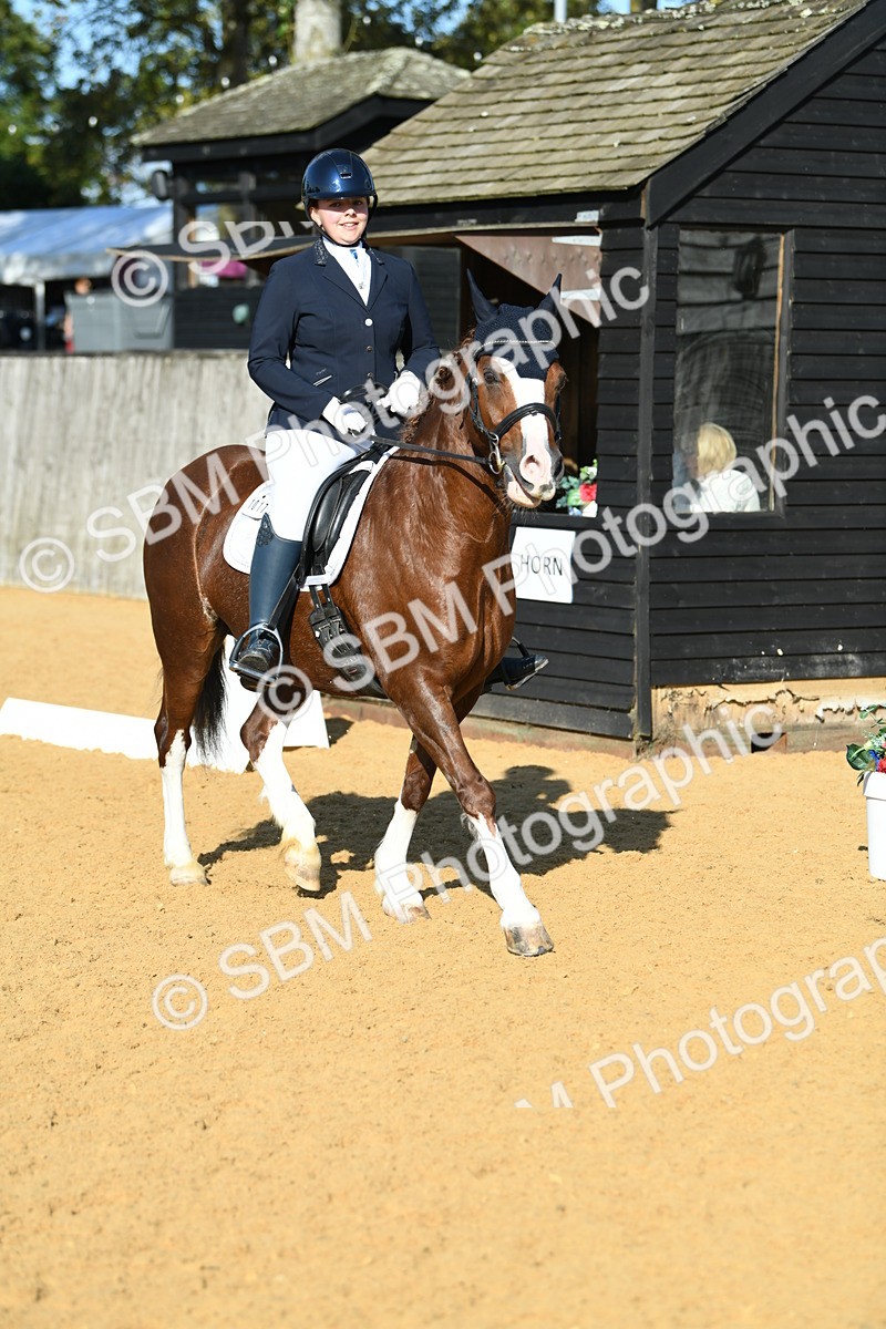 SBM_27237 - D16 - Small Tour Championship - Novice 28