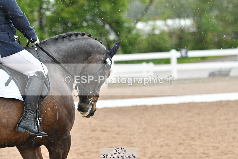 230511A-135145-00858 - BD Cls 13 Adv Medium 91