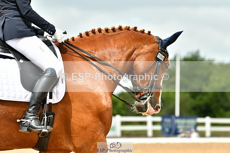 230701A-130010-06195 - Cls 8 Elementary 57