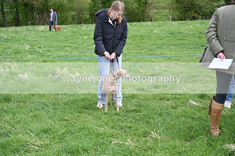 WJ6_8061 - Class 2 Best Pedigree