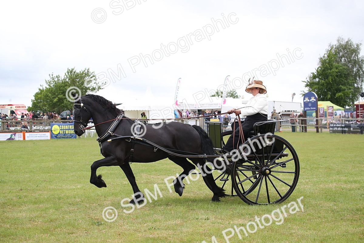 SBM_05751 - Class 12-15 - HOYS Private Driving