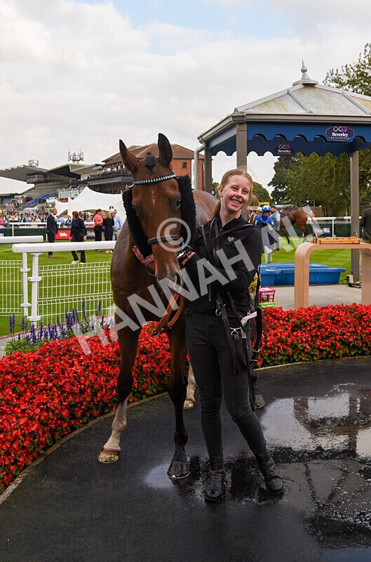 310824-Race 8-This Years Love-2985 - Race 8