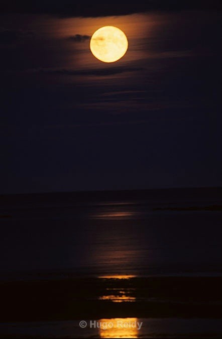  - Skerries