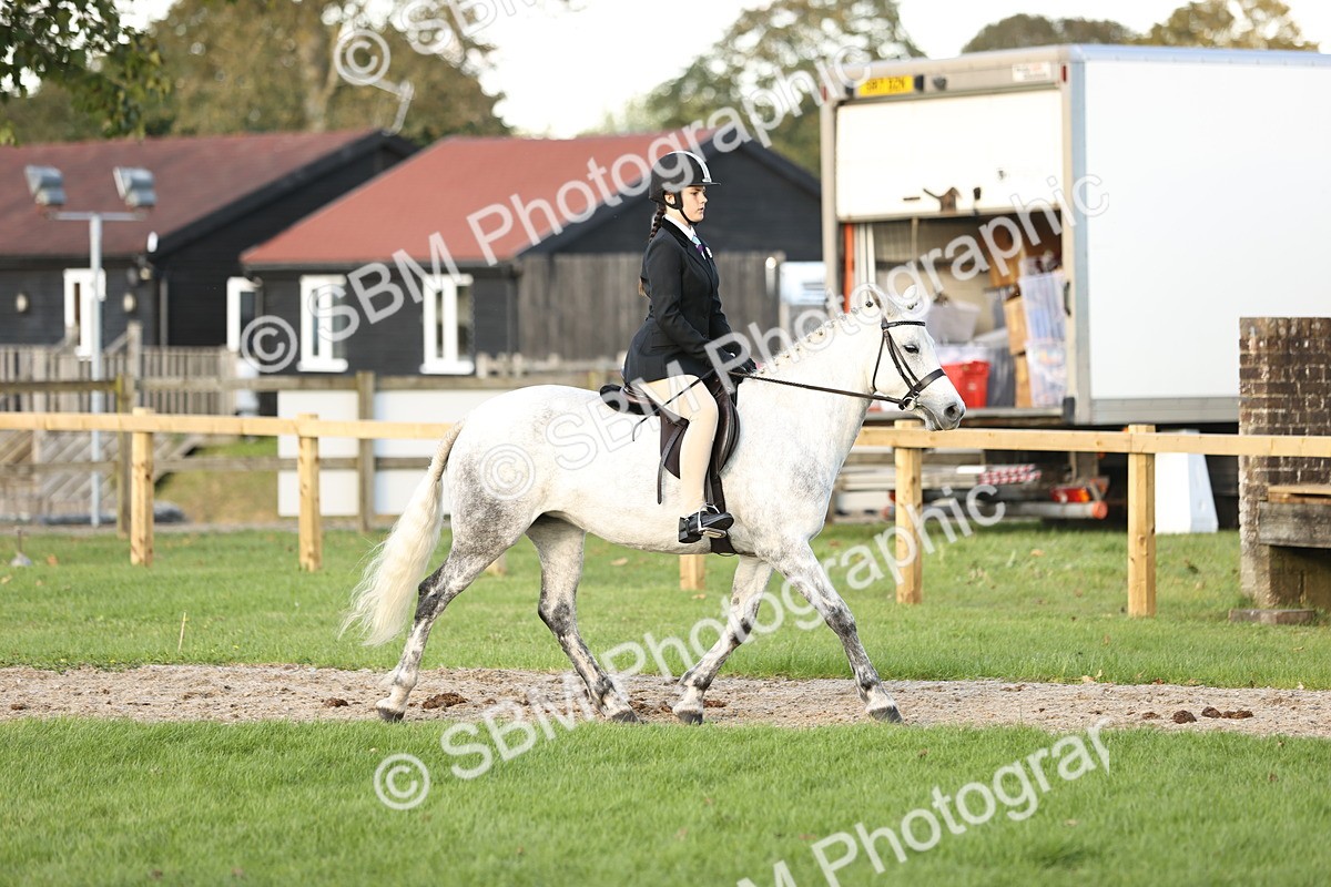 SBM_29545 - S7 - Novice & Newcomers Ridden Pony