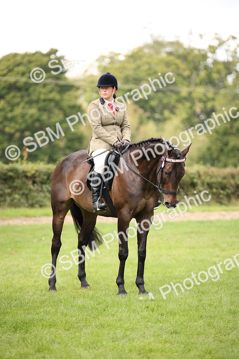 SBM_65958 - S64 - Riding Horse & Hack & Thoroughbred Ridden