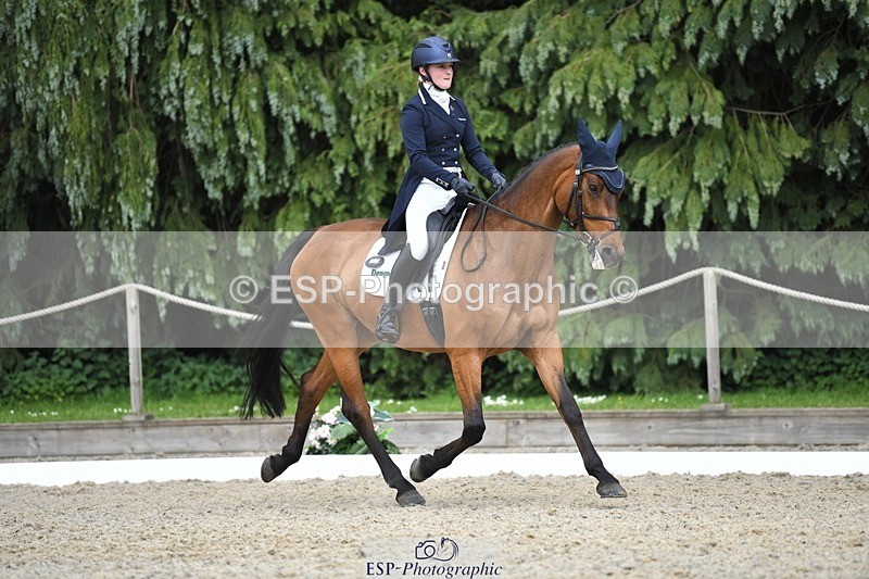 230525-154447-03301 - 329-VINTAGE_GRAFFITI-Alice_Hallows-WEDTrotUp+DR