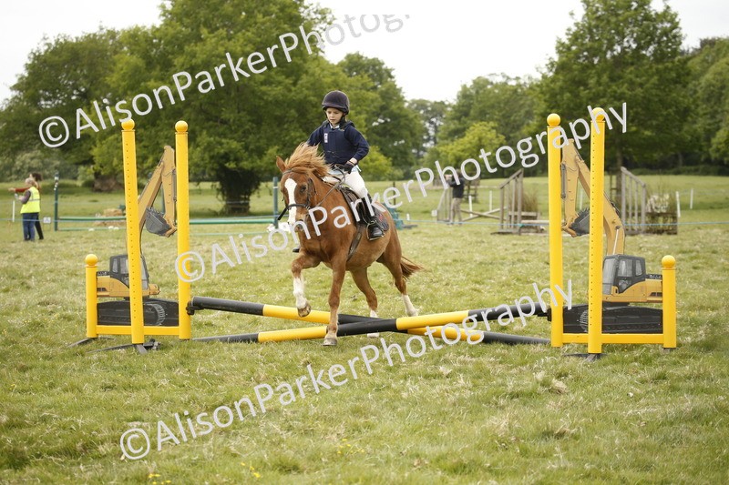 20250517-0852 - Class 2 - 30cm Off Lead Rein