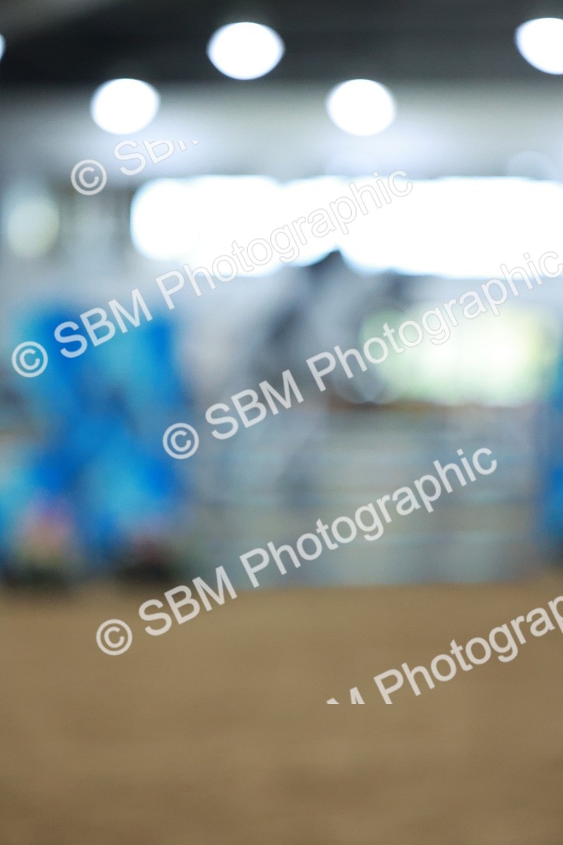 SBM_007265 - Class 19 - Senior Newcomers 1.10m