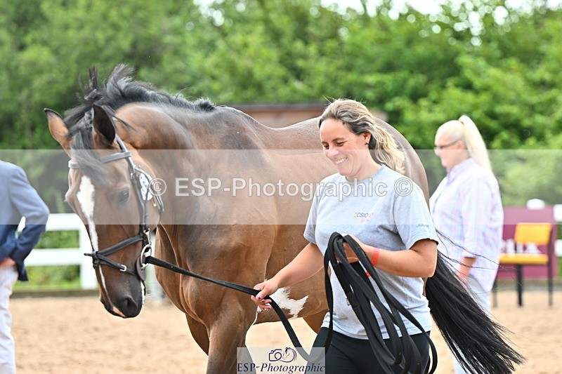 240718A-105326-02012 - Trot Up 2pm to 3pm - This folder is not in time order