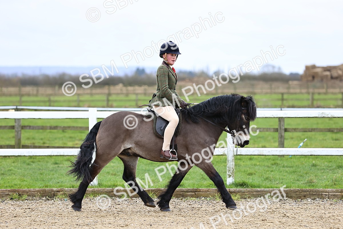 SBM_006776 - Class 29 - 30 - M&M Pure Novice Small-Large Breeds