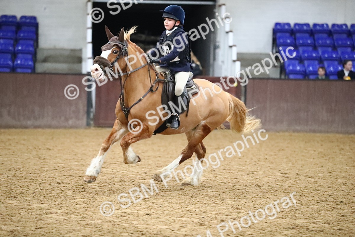 SBM_002797 - Class 6 - 80cm