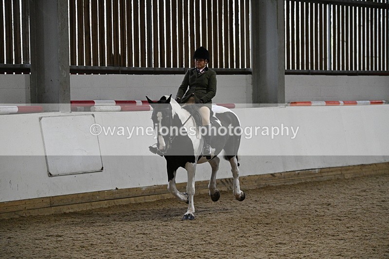 WJ7_4068 - Class 17 Ridden Cob