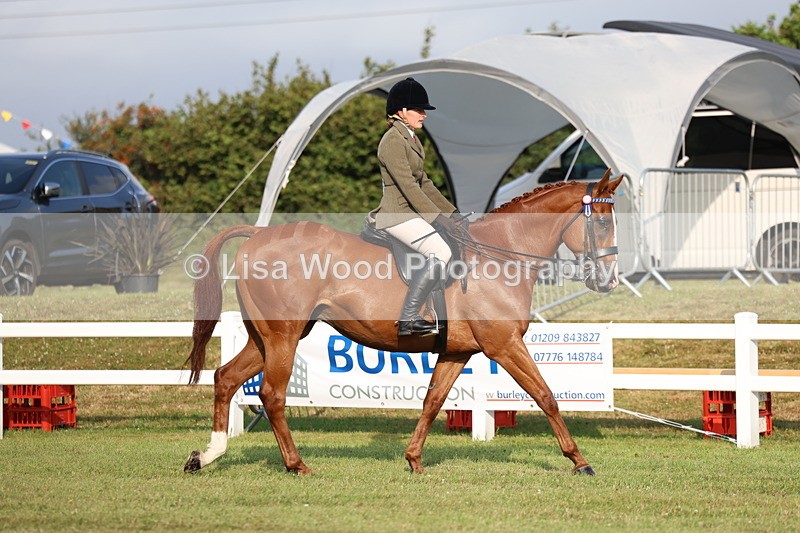 3E7A7650 - Class 1: Rising Star Small Hack/Riding Horses