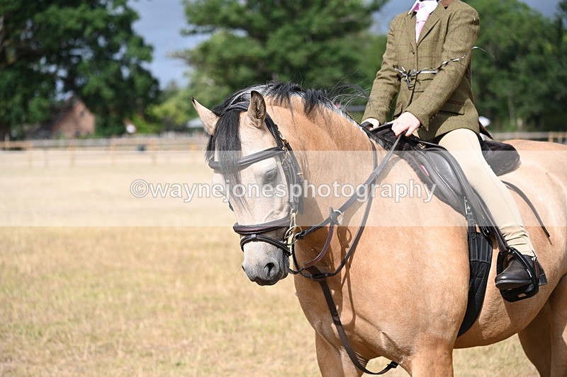 WJ6_7580 - Class 9 Tack and Turnout