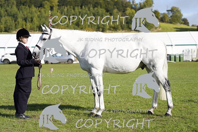 _DSC9538 - Class 8 & 17 Ridden Hunter & Ridden Hunter Pony