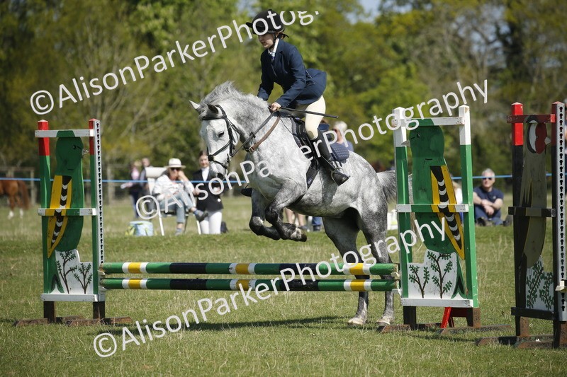 20250427-2167 - Class 13 - Novice Jumping 60cm