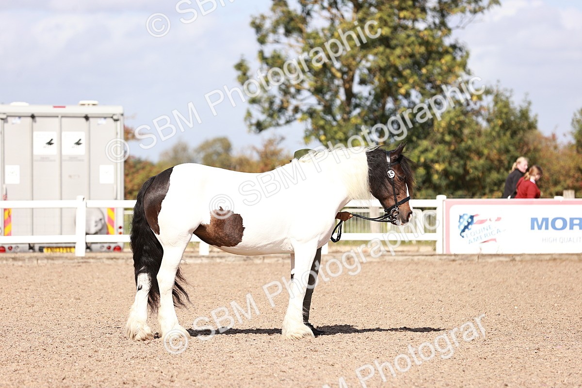 SBM_22946 - Class 707 - IH groom Helpers Class