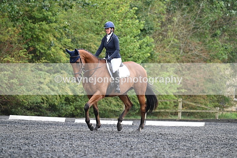 WJ7_6221 - Time 11:38 to 12:03