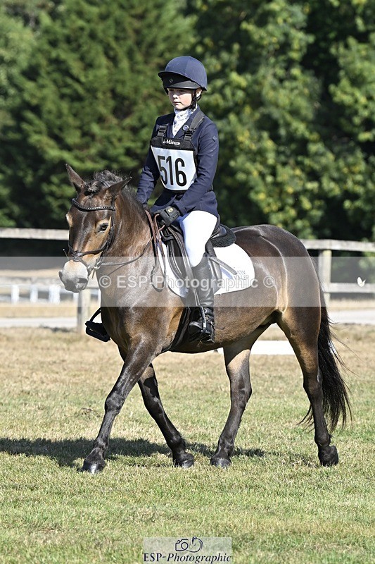 250822A-101253-20171 - DR 10.00 to 11.00