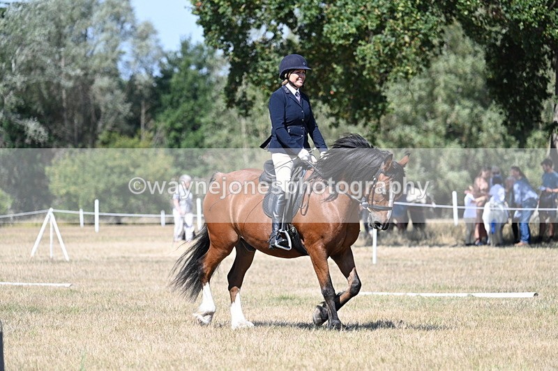 WJ7_0711 - Time 12:03 to 12:23