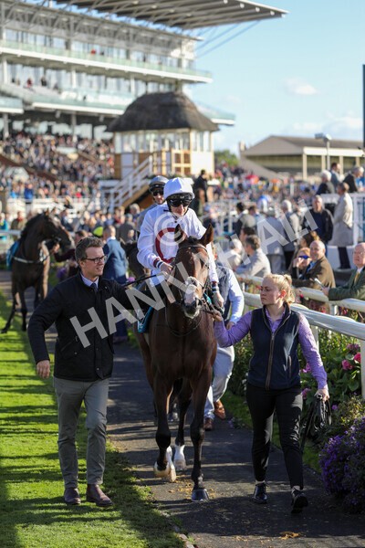 yr08102022r5-17 - Race 5 3.50pm The Coral Committed To Safer Gambling EBFStallions.com Maiden Stakes