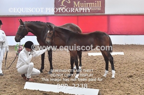 BPP_2238 - AFTERNOON 12.30 - 3.30PM