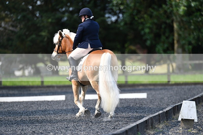 WJ5_8896 - Time 09:34 to 09:57