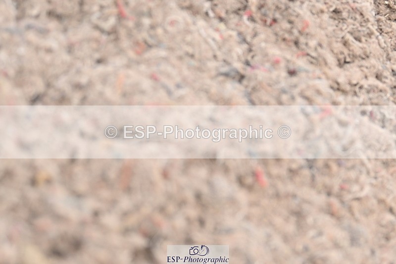 240622A-121411-10014 - Cls 34 BD Music Medium