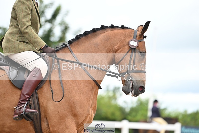 250705-175520-03970 - BRCP4 Sections BRCP4SNR, BRCP4JNR 13.50 to 14.53