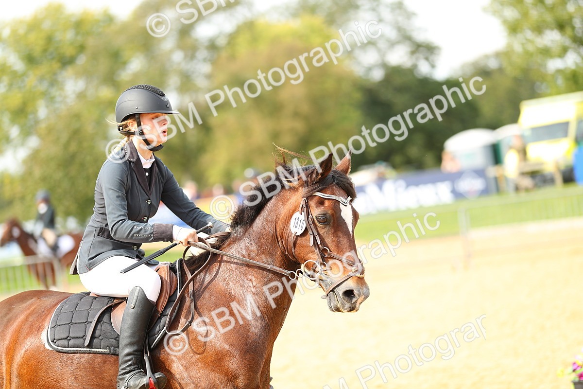 SBM_67176 - J17 - Junior Pony 80cm Championship