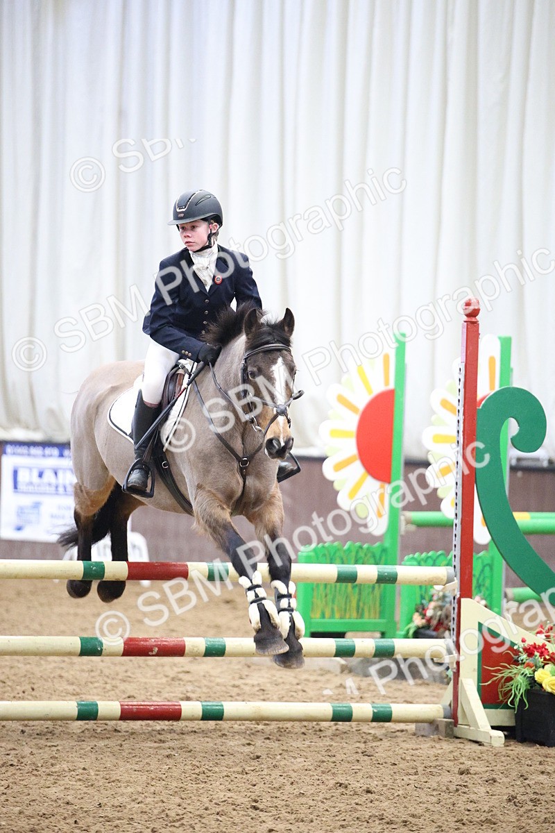 5K7A3182 - Class -1 - Equissage Pulse Senior BritiNovice/ 90cm Open