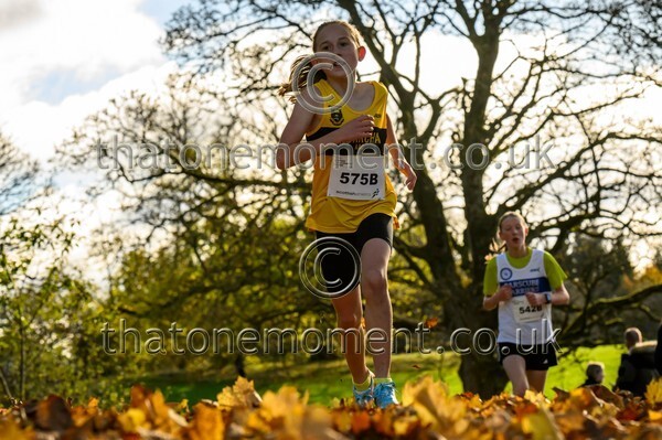 NatRel25-913789 - Young Female Set Two