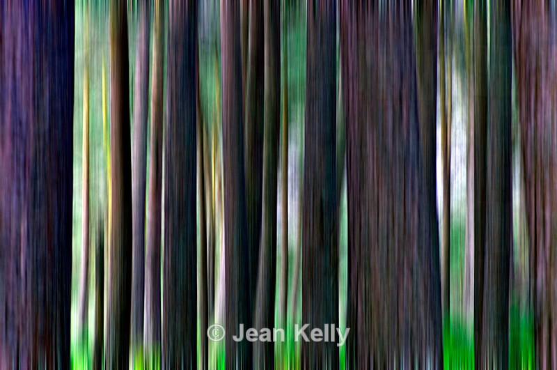 Tree - 0577 motion blur - Motion blur filter effect