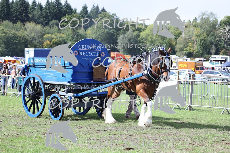 APP_3584 - Class 7 Turnout for a single or pair