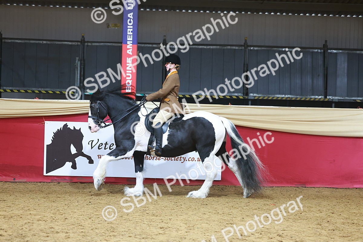 SBM_09661 - Class 102 - HOYS Veteran Qualifier - Ridden Veteran