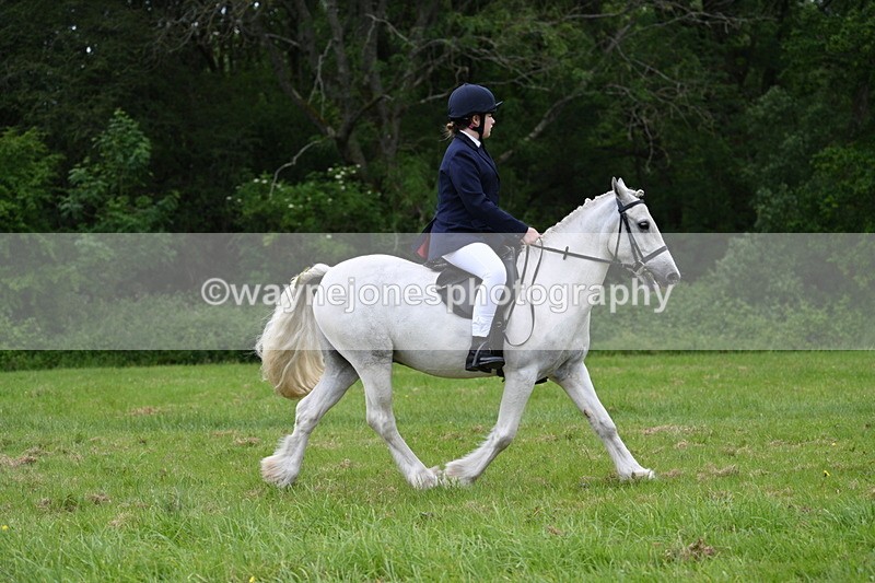WJ7_2083 - Class 12A Coloured Class