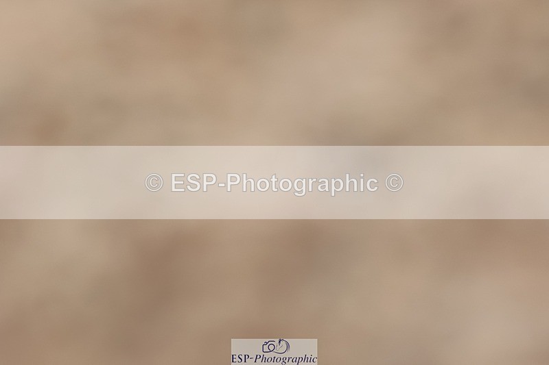 250622-124707-14926 - Cls 50 Elementary 5 Start to 13.10